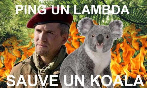 Signez pour sauver les koalas d'Australie. Une signature pour Lambda = un koala sauv&eacute;