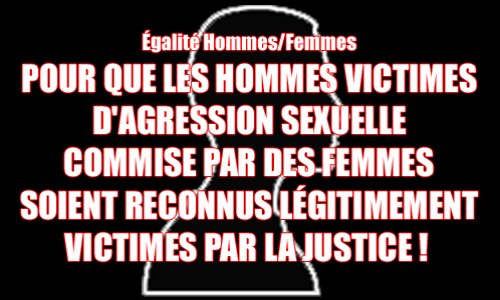 Pétition : POUR QUE LES HOMMES VICTIMES D'AGRESSION SEXUELLE COMMISE PAR DES FEMMES SOIENT RECONNUS LÉGITIMEMENT VICTIMES PAR LA JUSTICE !