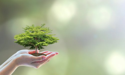 DE NOUVELLES MESURES POUR NOTRE ENVIRONNEMENT