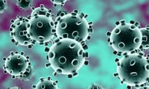 Coronavirus : pour la fermeture des établissements scolaires ! (59)