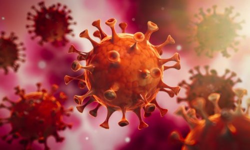 SOS : Diderot protégez nous contre le Coronavirus !!!