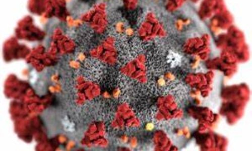 Pour un dépistage massif et immédiat du Covid-19