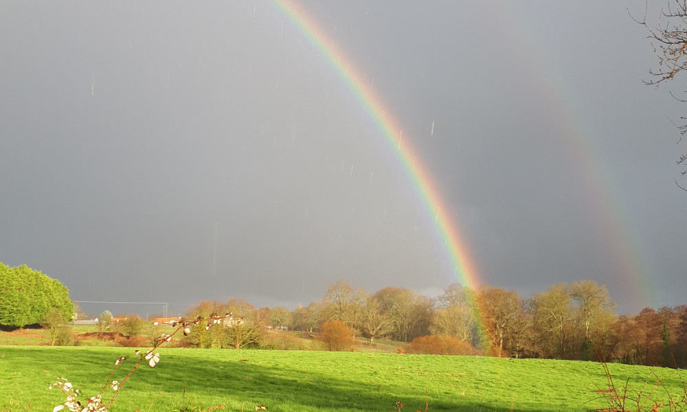 Auto-entrepreneurs, 1500 &euro; mais pour qui ?
