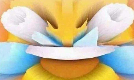 Supprimer l&rsquo;emoji &ldquo;