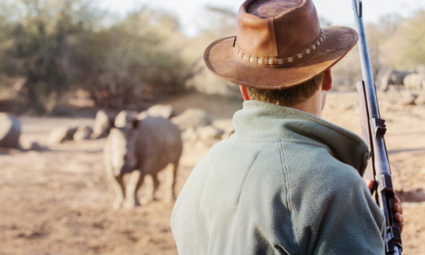 Pétition : La responsabilité de la Chine et de Xi Jinping dans la destruction de la biodiversité et la survenue de zoonoses comme le Covid-19