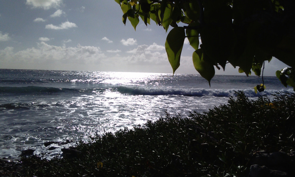 Reprise des sports nautiques non motorisés en Guadeloupe