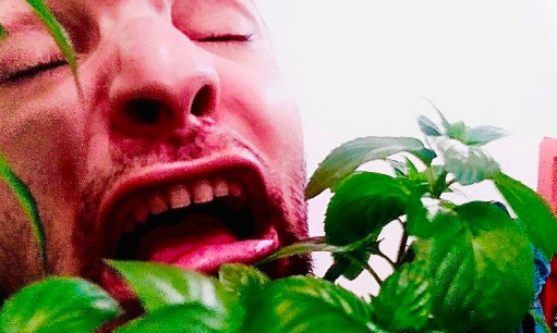 Cas Na&iuml;la Bud : Ban du discord ?