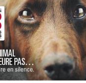 Loi pour la protection des animaux, peine de prison demandée pour tout acte de cruauté , de maltraitance ou de barbarie envers tous les animaux