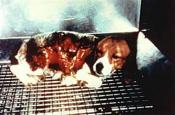 Abolir la vivisection