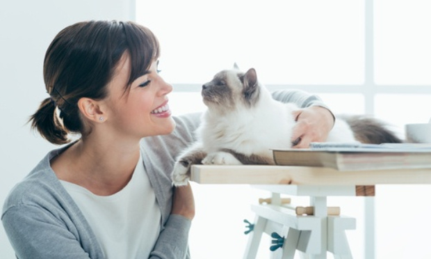 Pétition : Des dispensaires pour animaux dans chaque département