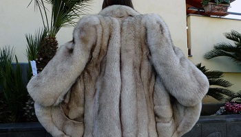 Pour que Kaporal 5 arrête de vendre de la fourrure