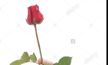 Disparition de la dictature Facebook et toutes les pens&eacute;es uniques !!