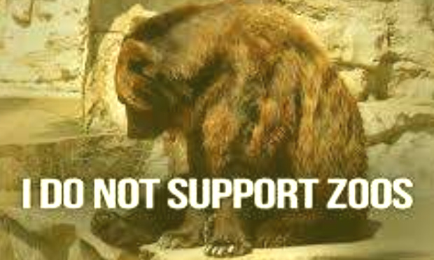 Le zoo de Marghazar doit fermer ses portes à Islamabad/Marghazar Zoo need to shut down in Islamabad