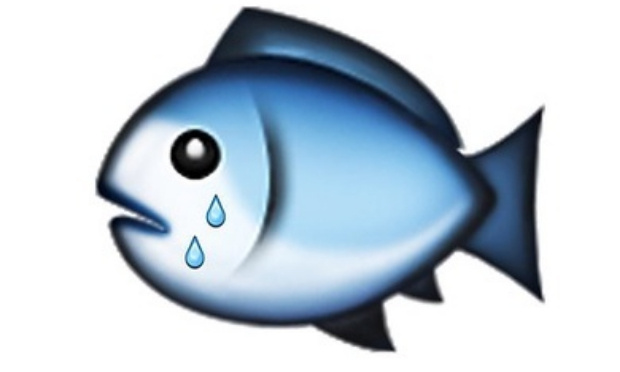 Arr&ecirc;ter de rendre les poissons tristes