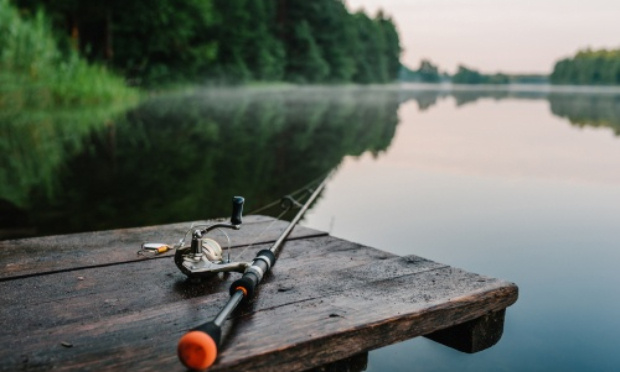 Arrêtez la pêche professionnelle dans les fleuves