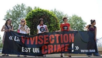 STOP à la vivisection des animaux!