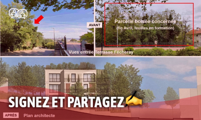 Do not destroy 1,000 m2 of natural forest in the Fécheray area in Suresnes:!