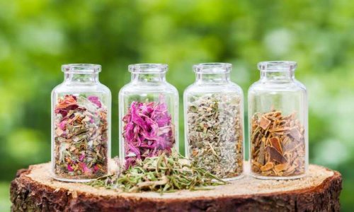 Pour quel problème de santé vous soignez-vous avec des plantes plutôt qu’avec des médicaments ?