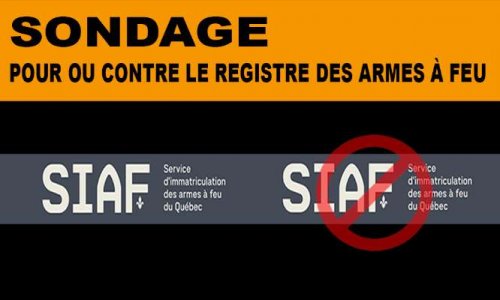 Êtes-vous pour ou contre le registre des armes à feu du Québec ?