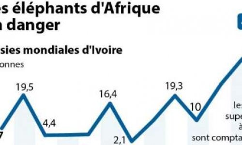 Pour ou contre les zoos ?