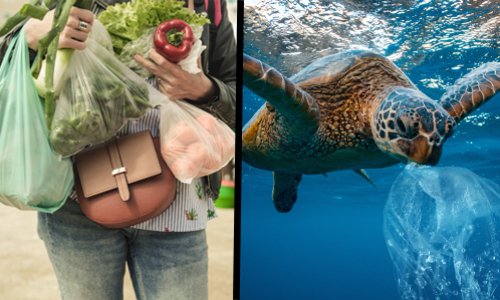 Journée mondiale sans sacs plastique : allez-vous réduire votre consommation de plastique ?