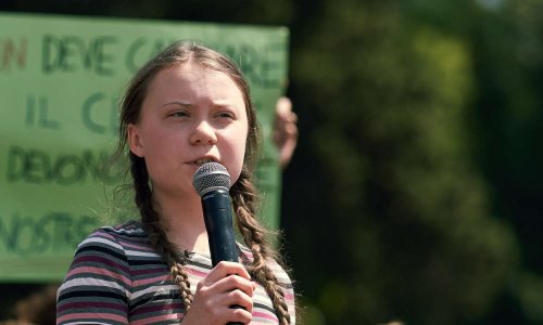 Soutenez-vous la démarche de Greta Thunberg, militante pour le climat ?
