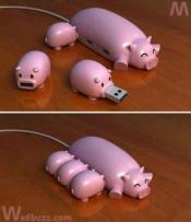 Que pensez vous du projet de porcherie aux Bouys à Chirat l'église, dans l'Allier en Auvergne