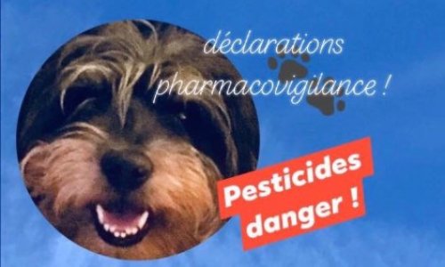 Avez-vous fait votre déclaration pharmacovigilance pour signaler les effets secondaires à risques apparus sur votre chien / chat. Après l’utilisation d’antiparasitaires ?