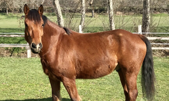 Vous &ecirc;tes abonn&eacute; &agrave; mon tiktok ?❤️