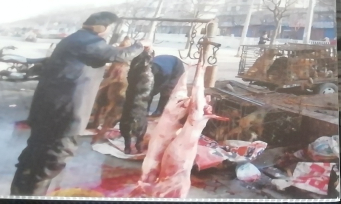 Es muss ein jedes Tier umfassendes Tierschutzgesetz her, mit harten Strafen f&uuml;r Tierqu&auml;lerei.