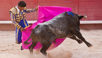Souhaitez-vous que la corrida reste inscrite au patrimoine culturel immatériel de la France ?