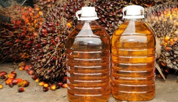 Etes vous pour une réduction des produits contenant de l'huile de palme ?