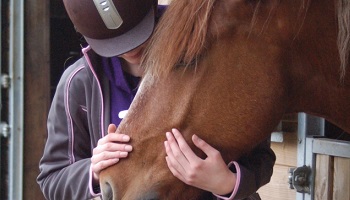 Vous êtes un(e) lycéen(ne) normand(e) : seriez-vous intéressé(e) par l'option facultative équitation au bac ?