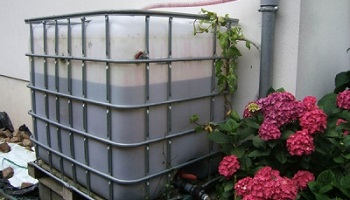 Avez-vous déjà pensé à vous équiper d'un récupérateur d'eau de pluie ?