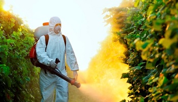 Pensez-vous que les personnes qui utilisent des pesticides doivent payer une amende ?