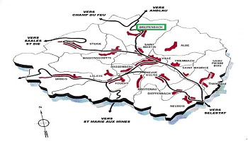 Pour qui allez-vous voter au canton de Sélestat ?
