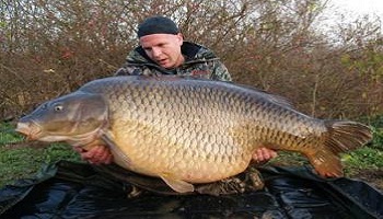 Retour à la carte de pêche gratuite pour ?