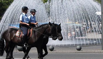 La police montée (tarbaise) doit-elle continuer ?