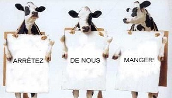 Seriez-vous prêt à ne pas acheter de viande pendant une seule journée ?