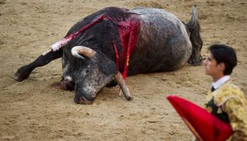 Doit-on abolir la corrida en France ?