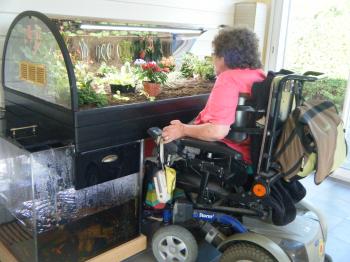 Pensez-vous que le jardinage soit bénéfique pour les personnes âgées ou handicapées ?