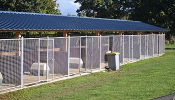 Etes-vous pour ou contre une formation spécialisée pour contrôler l'élevage canin ?