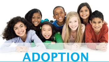 Êtes-vous pour l'adoption ?