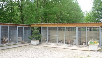 Un sanctuaire canin est-il une bonne solution pour contrecarrer l'élevage canin moderne ?
