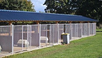 Comment jugez-vous l'élevage canin moderne ?