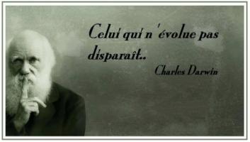 Doit-on appliquer les mêmes lois aux citoyens et aux responsables des actes des Etats, collectivités et personnes morales qui font notre monde ?