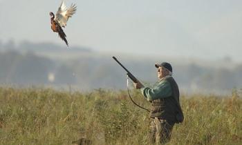 Pour  ou contre l'interdiction de la chasse ?
