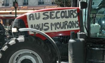 Soutenez-vous la colère des agriculteurs et leur pression effectuée sur l'Etat?