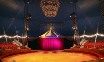 Êtes-vous pour ou contre l'interdiction des cirques en France ?