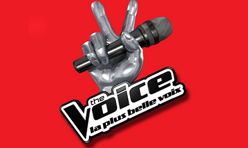 Regardez-vous The Voice ?